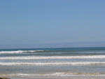 There's a whale in there - look at the big version