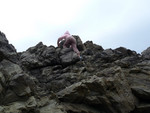 Josie climbs