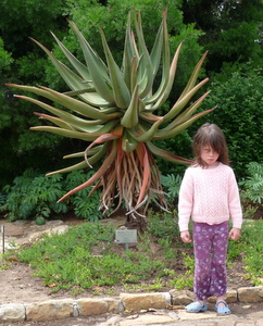 Josie under the influence of the grumpy tree