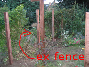 fence down